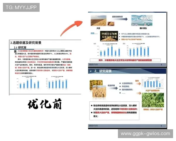 申博：申博对家庭经济负担的影响及经济规划建议